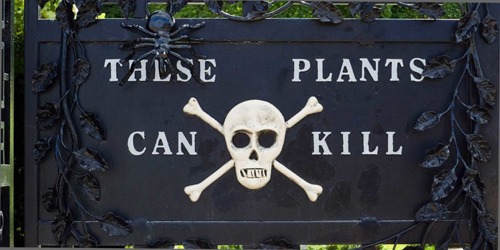 Rùng mình khi đến thăm khu vườn "sờ vào đâu cũng chết"