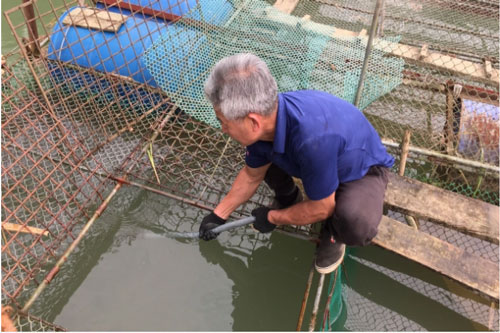 Cao Bằng: Nuôi cá lồng mang lại hiệu quả kinh tế cao cho người nông dân