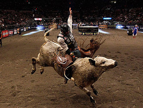 "Thót tim" trước những công việc nguy hiểm nhất thế giới