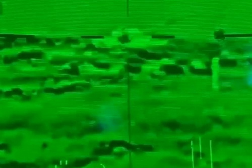 Xe tăng T-55 được cứu thoát khỏi tên lửa TOW nhờ sự xuất hiện của... một con chim