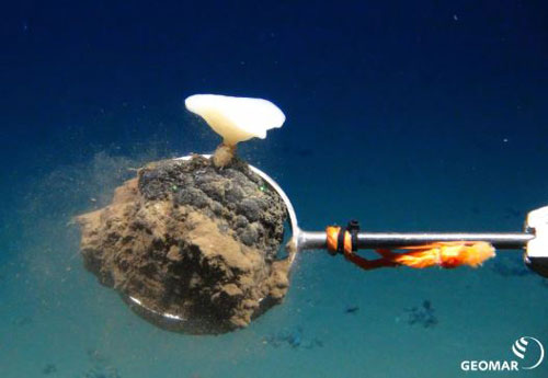 Sẽ mất hàng thập kỷ để đáy đại dương hồi phục sau hoạt động khai khoáng dưới biển của con người