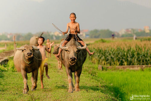 Cùng khám phá những sân chơi “đặc biệt” của con trẻ ở vùng quê nông thôn