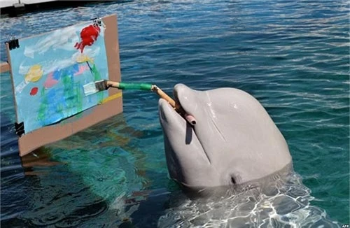 Ảnh động vật: Cá voi vẽ tranh điêu luyện - 4