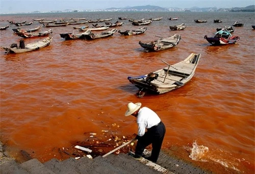 Những hình ảnh về Thủy triều đỏ đáng sợ trên thế giới - 6