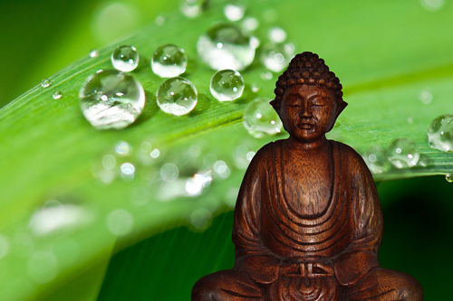 Hiểu như thế nào cho đúng về câu: 'Phật từ bi, Thánh một ly cũng chấp'