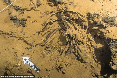 Lặn xuống hang ngầm thời cổ đại, các nhà khảo cổ phát hiện hàng loạt điều bất ngờ