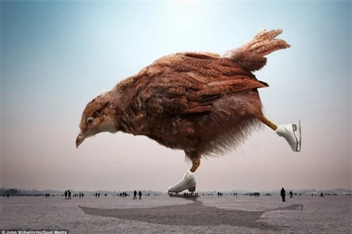 Ảnh đẹp: Thế giới động vật qua Photoshop - 3