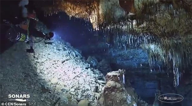 Lặn xuống hang ngầm thời cổ đại, các nhà khảo cổ phát hiện hàng loạt điều bất ngờ  - Ảnh 6.