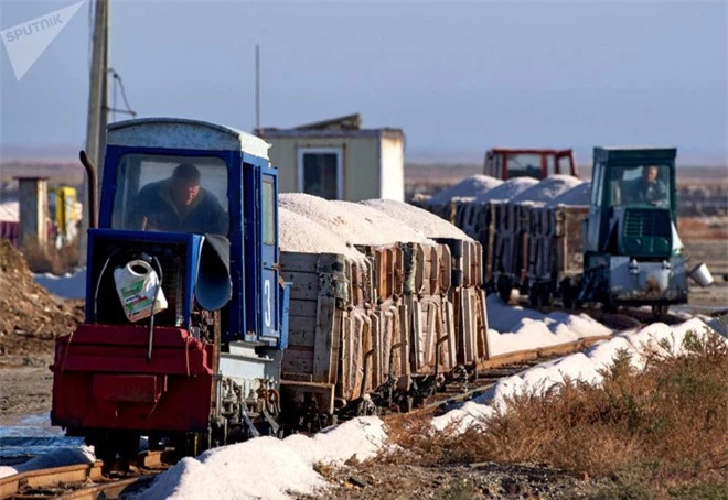 “Săn” muối hồng tại Crimea - Ảnh 5.