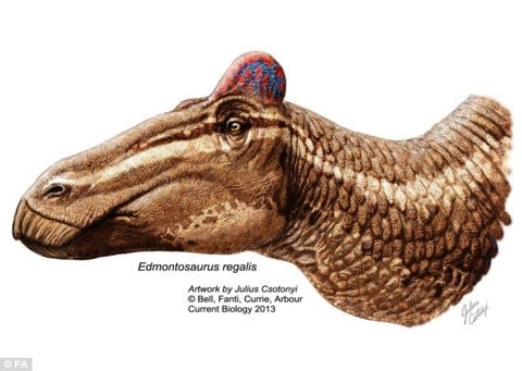 Khủng long có họ với... gà?