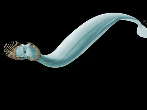 Phát hiện loài động vật bí ẩn xuất hiện trước cả khủng long