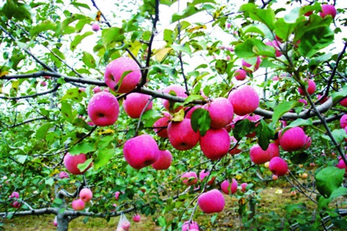 Hãy đọc câu chuyện này, bạn sẽ thấy 'hình bóng' mình trong đó