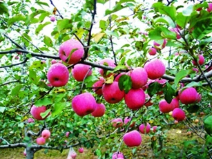 Hãy đọc câu chuyện này, bạn sẽ thấy 'hình bóng' mình trong đó