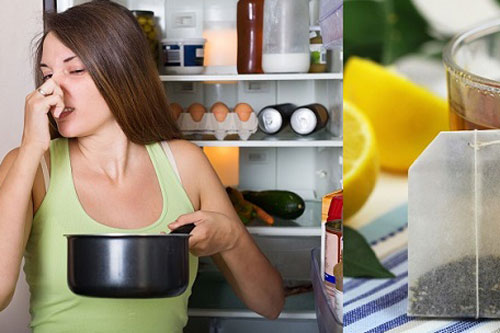 Mẹo khử mùi tủ lạnh nhanh chóng, hiệu quả bằng những nguyên liệu sẵn có