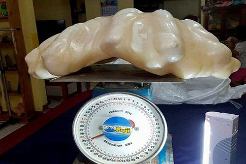 Bỗng dưng "đổi đời" nhờ tìm thấy kho báu triệu đô