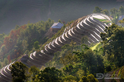 Lung linh mùa nước đổ trên những ruộng bậc thang ở Hoàng Su Phì - Hà Giang