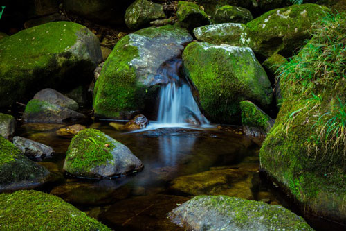 Chinh phục đỉnh Putaleng, đắm say vẻ đẹp của khu rừng cổ tích