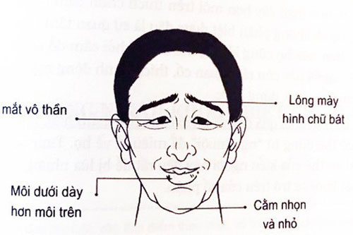Tướng đàn ông lười biếng, ham chơi, phụ nữ nên tránh xa