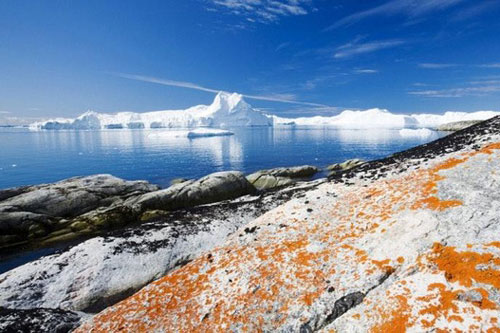 Một cái nhìn mới về Greenland và Nam Cực