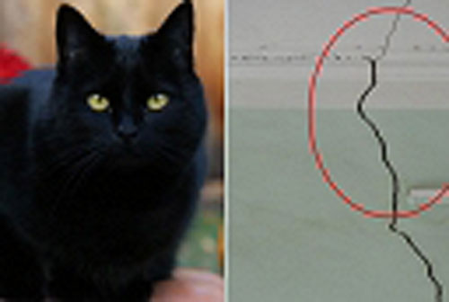 5 hiện tượng lạ cảnh báo xui xẻo sắp ập đến cửa, không cẩn thận là "tiền mất tật mang"