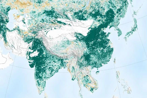 Theo những hình ảnh từ vệ tinh của NASA, Trái Đất ngày càng xanh hơn so với cách đây 20 năm. Trung Quốc và Ấn Độ - 2 quốc gia đông dân nhất thế giới đang khởi động hàng loạt các chiến dịch trồng cây. Một nghiên cứu mới công bố gần đây cho thấy khu vực màu xanh trên toàn cầu đã tăng 5% so với đầu những năm 2000, tương đương với diện tích của toàn bộ rừng Amazon.