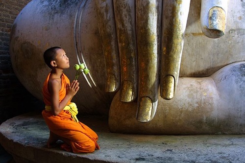 Lời phật dạy về nhân quả báo ứng - dù bạn là ai cũng nên đọc