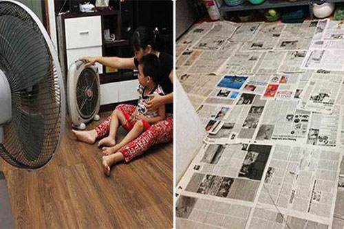 Trời nồm đển đâu cứ bỏ thứ này trong nhà, mùi ẩm mốc sẽ bay biến, nhà thơm tho ngay trở lại