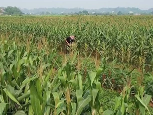 Người lao động mong ngóng gói hỗ trợ 62.000 tỷ đồng