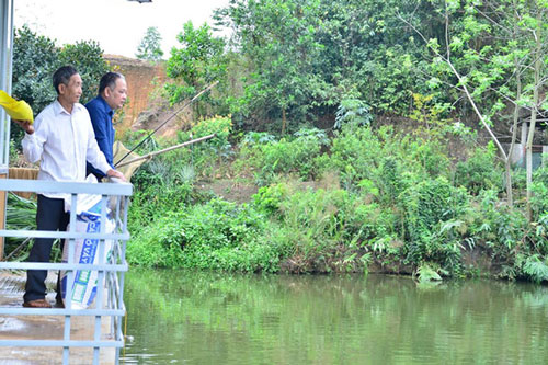Yên Bái: Trồng cây, thả cá mỗi năm thu hàng trăm triệu đồng