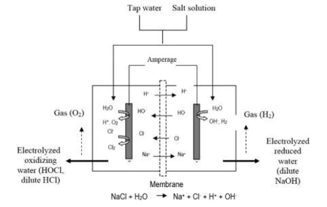 Hình 1. Sơ đồ điện phân nước muối loãng và các sản phẩm (Huang và ctv, 2008)