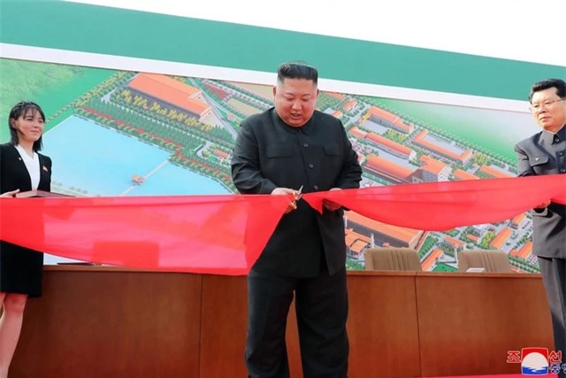 Quan chức đào tẩu Triều Tiên xin lỗi vì loan tin ông Kim Jong-un bệnh nặng - 1