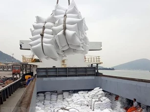 Giá gạo xuất khẩu của Việt Nam tăng 6,3%