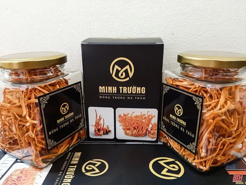 Không chỉ nỗ lực nâng cao chất lượng, anh Trường đặc biệt chú trọng tới việc xây dựng thương hiệu, nhãn mác, đóng gói sản phẩm nhằm tạo thêm sức hút, khẳng định hiệu quả bền vững của mô hình. Không chỉ nỗ lực nâng cao chất lượng, anh Trường đặc biệt chú trọng tới việc xây dựng thương hiệu, nhãn mác, đóng gói sản phẩm nhằm tạo thêm sức hút, khẳng định hiệu quả bền vững của mô hình.