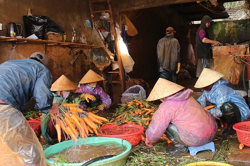 Nông sản Đà Lạt phục hồi sau “bão” Covid-19