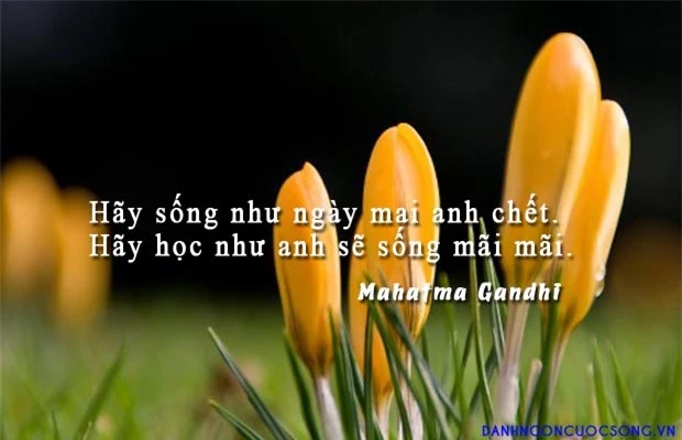Thành công là kết quả của một nửa may mắn và một nửa kiên trì - Ảnh 2