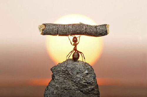 6 cách tạo động lực cho bản thân lúc khó khăn