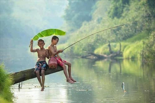 Ảnh minh họa Ảnh minh họa