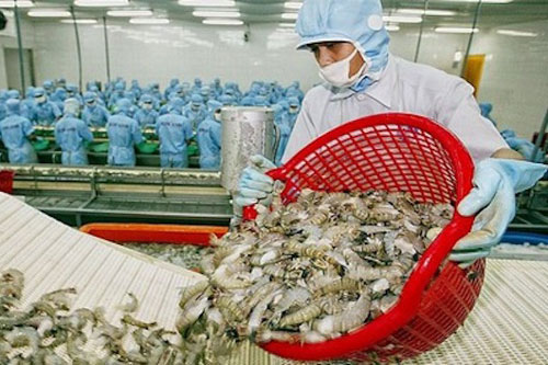 Dịch Covid-19 đang và sẽ tạo ra những xu hướng mới đối với chuỗi cung ứng thủy sản (Ảnh: Internet) Dịch Covid-19 đang và sẽ tạo ra những xu hướng mới đối với chuỗi cung ứng thủy sản (Ảnh: Internet)