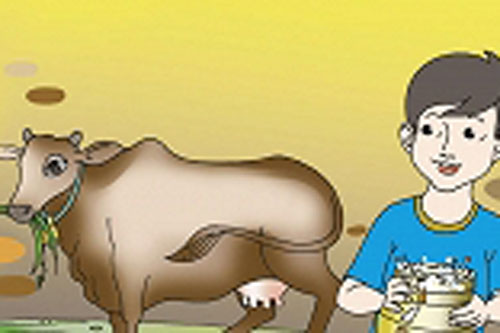 Bài học về con bò và triết lý dám nghĩ dám làm trong cuộc sống