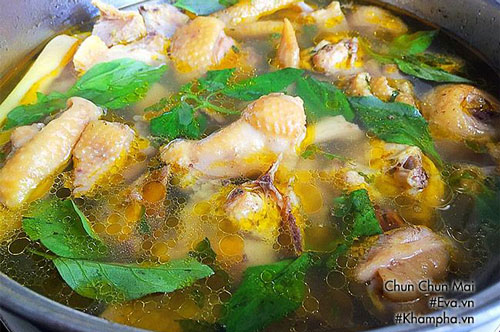 Lẩu gà lá é nóng hổi, đậm đà hương vị vùng đất Phú Yên