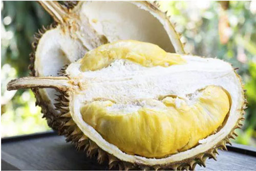 Mua sầu riêng, dựa vào đặc điểm sau đảm bảo ngọt ngon và nhiều thịt