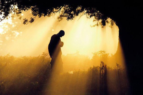 Phật dạy: Giữa cha mẹ và con cái luôn có mối duyên nợ ngàn năm không dứt