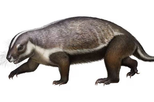 Loài "quái vật điên" ở Madagascar từng sống cạnh những con khủng long cuối cùng