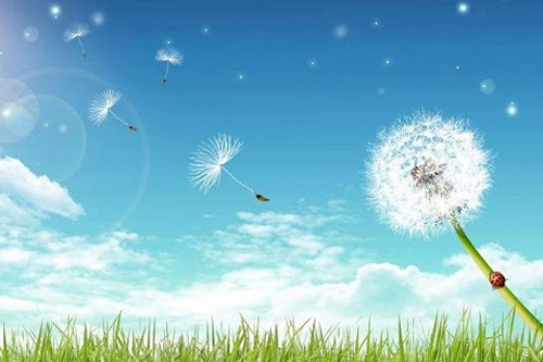 Khi đặt niềm tin vào ai đó, nên chừa lại một chút nghi hoặc