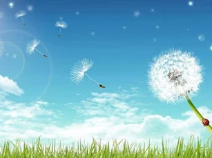 Khi đặt niềm tin vào ai đó, nên chừa lại một chút nghi hoặc
