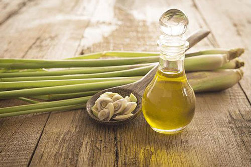 Nếu biết được công dụng thần kỳ này của sả ngâm rượu, bạn chỉ muốn làm ngay để tích trữ trong nhà