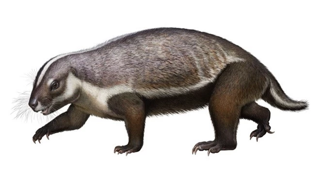 Loài quái vật điên ở Madagascar từng sống cạnh những con khủng long cuối cùng - Ảnh 2.