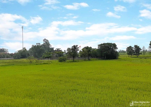 Bà Nguyễn Thị Hà là hậu duệ của họ Nguyễn ở làng Tam Lãng, xã Nam Kim - một vùng đất trù phú dưới chân núi Thiên Nhẫn - nơi Vua Lê Thái Tổ từng xây dựng thành Lục Niên chống quân Minh ở thế kỷ 15. Ảnh: Huy Thư