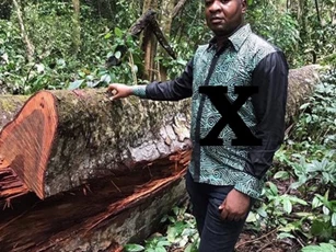 Cảnh báo doanh nghiệp Việt về đối tác lừa đảo tại Nigeria