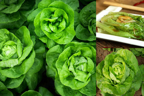 Ăn rau diếp theo cách này chất dinh dưỡng tăng lên gấp bội lại thơm ngon bất ngờ